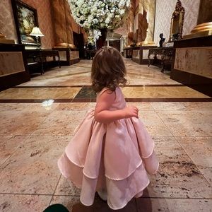 Champagne pink princess dress with bow and headband